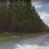 Wire strung between trees in Woodhill Forest hospitalises motorcyclist